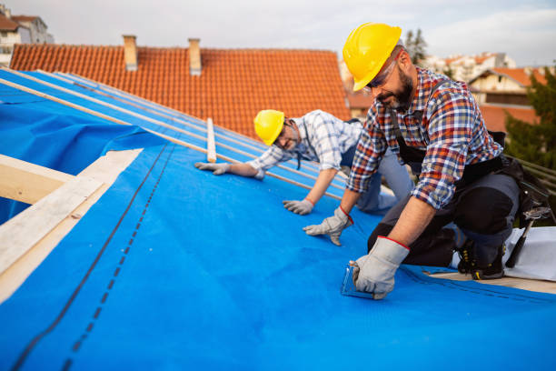 Best Roof Gutter Cleaning  in Mitchell, SD